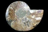 Agatized Ammonite Fossil (Half) - Madagascar #83798-1
